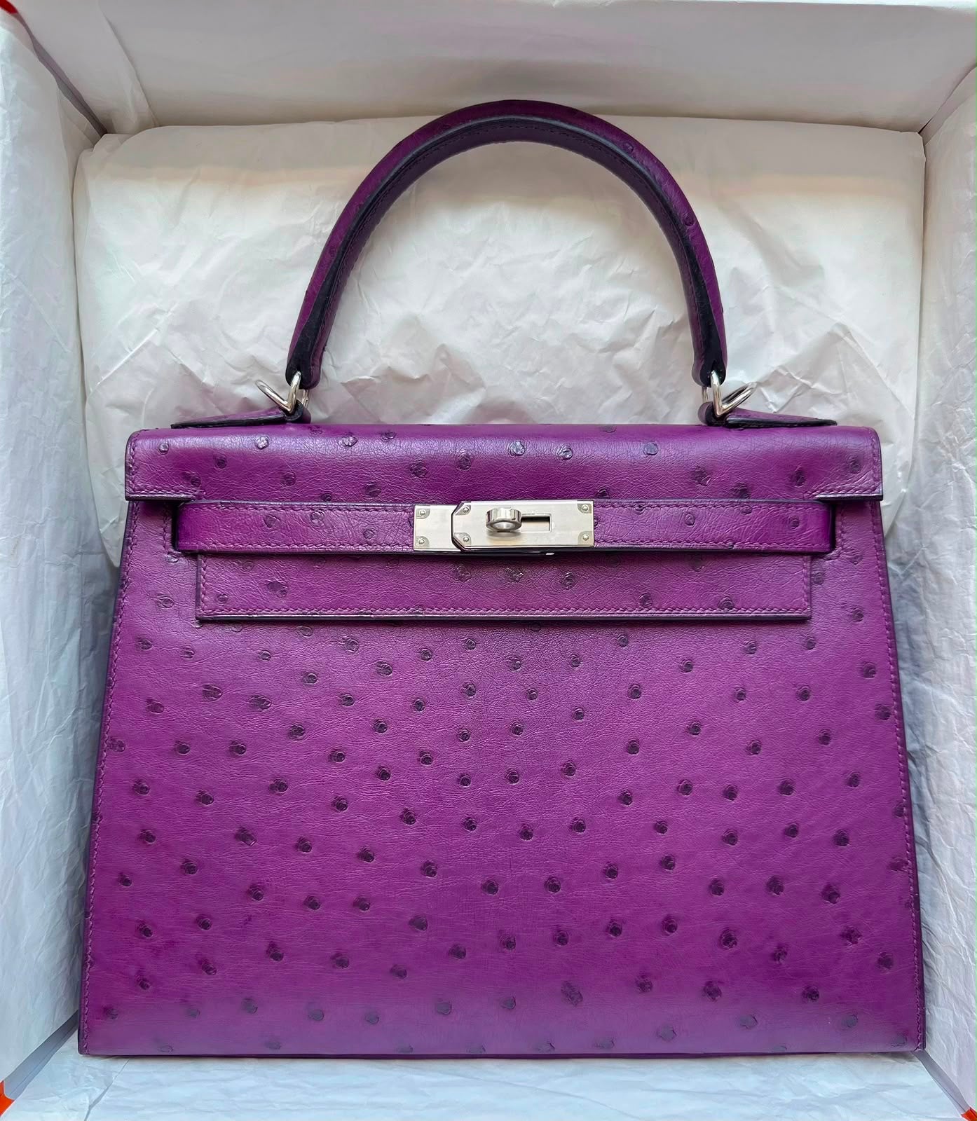 Hermes Kelly 28 Violine Ostrich Palladium Hardware