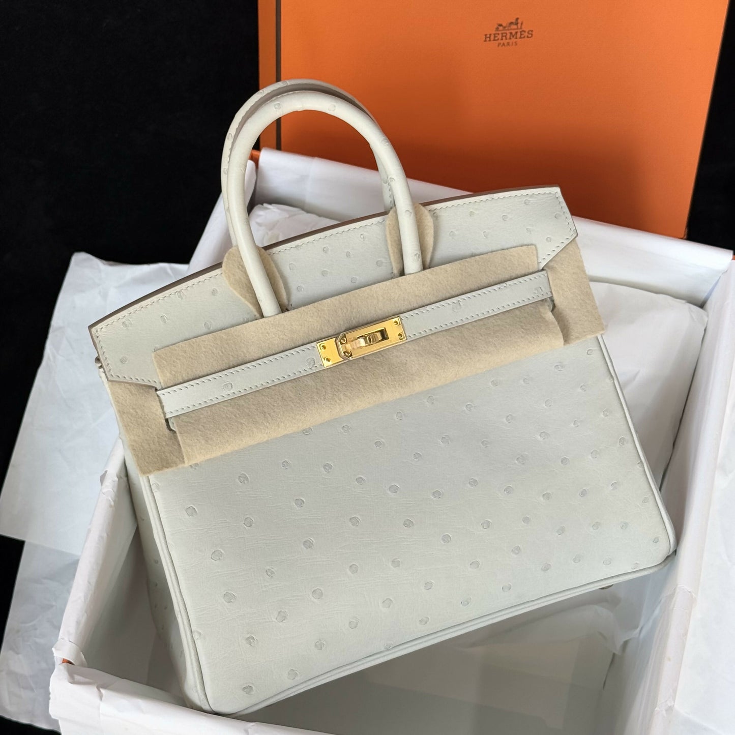 Hermès Birkin 25 Gris Perle Ostrich Leather with Gold Hardware