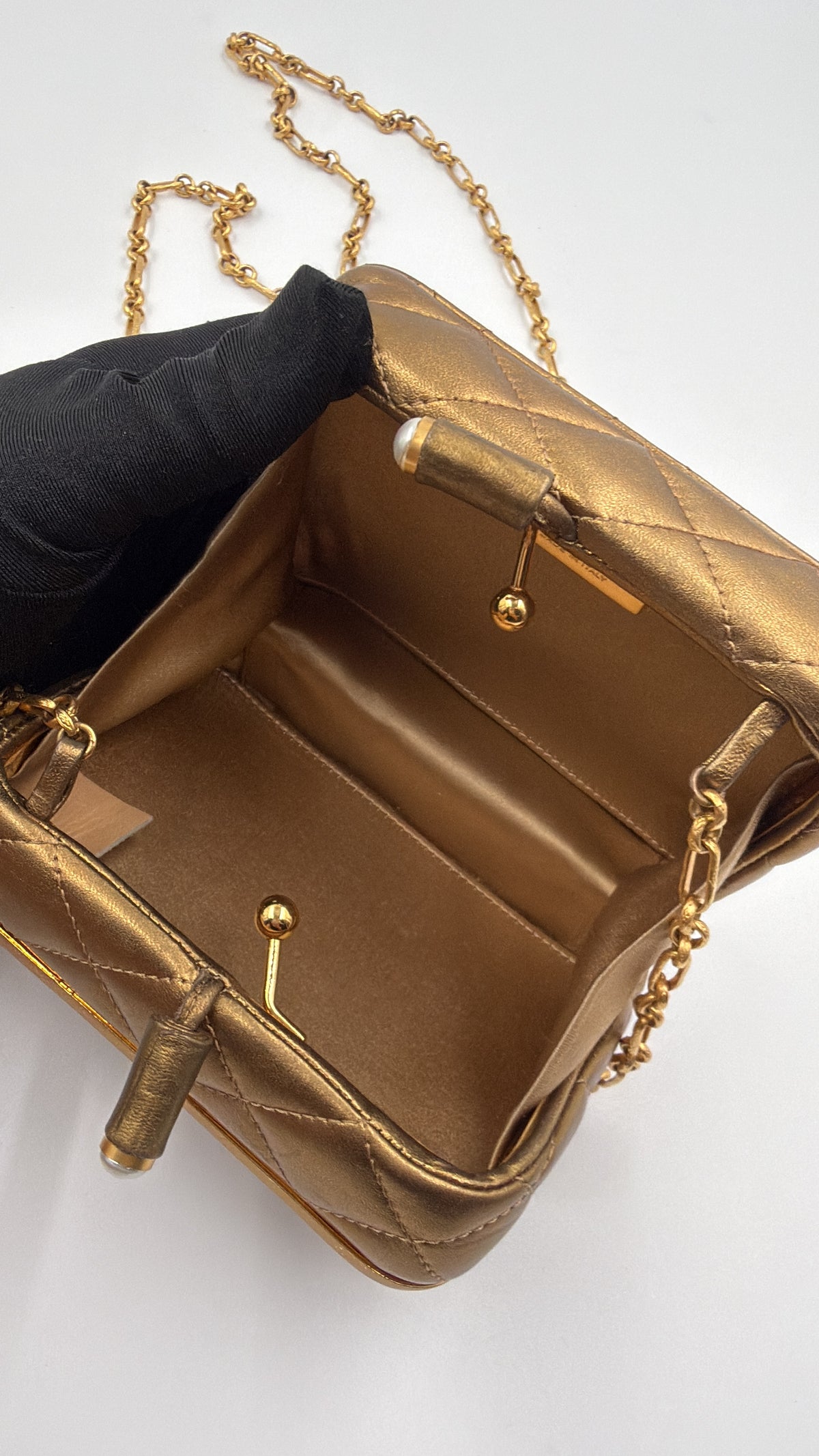 Chanel 2009 Paris Moscow Lion Head Minaudière Clutch (rare)