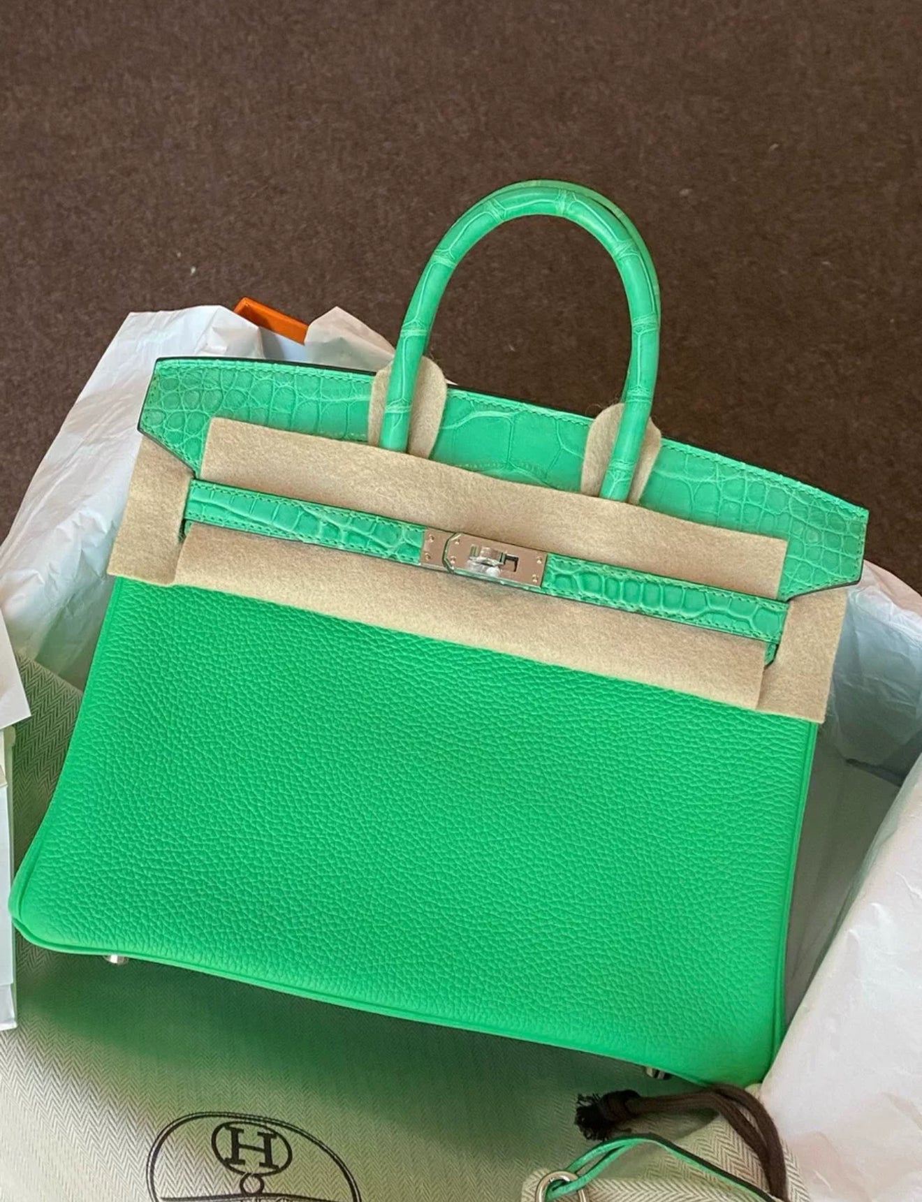 Hermès Birkin 25 Touch Vert Menthe Crocodile Togo - Wararni