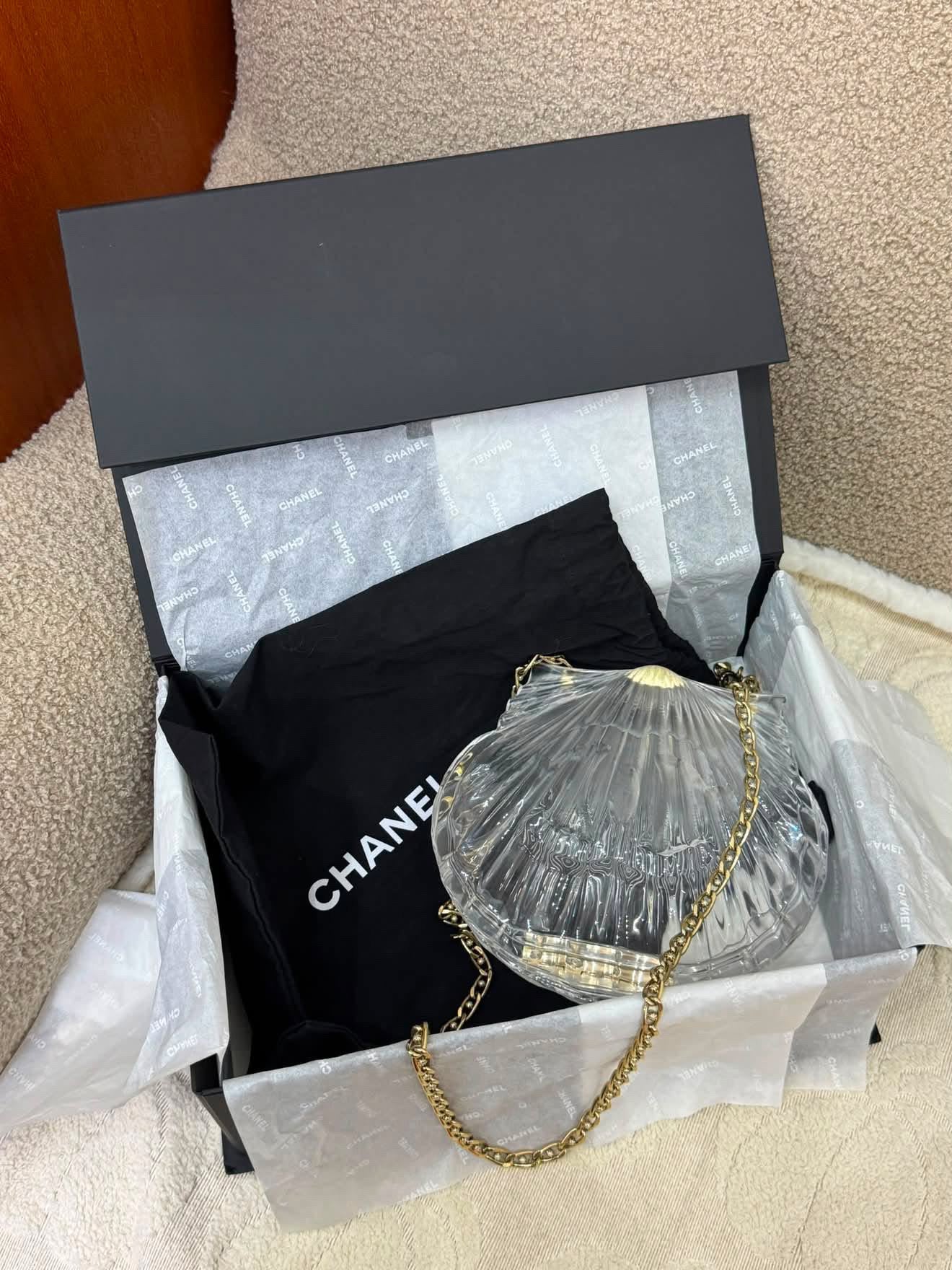 Rare Chanel 2019 Clear Shell Minaudière Clutch Bag