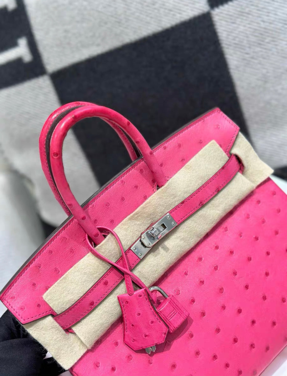 Hermes Birkin bag 25 Fuschia pink Ostrich leather Palladium hardware