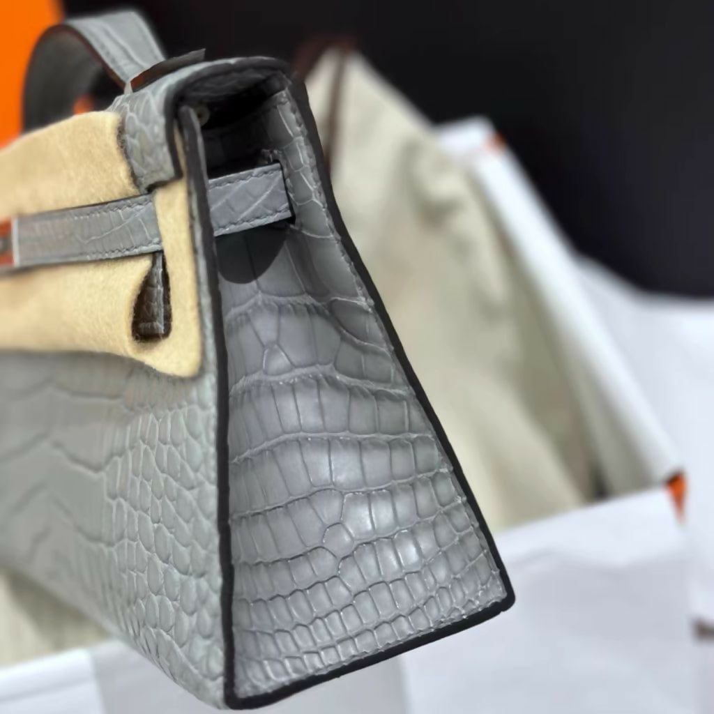 Hermes bag (2)