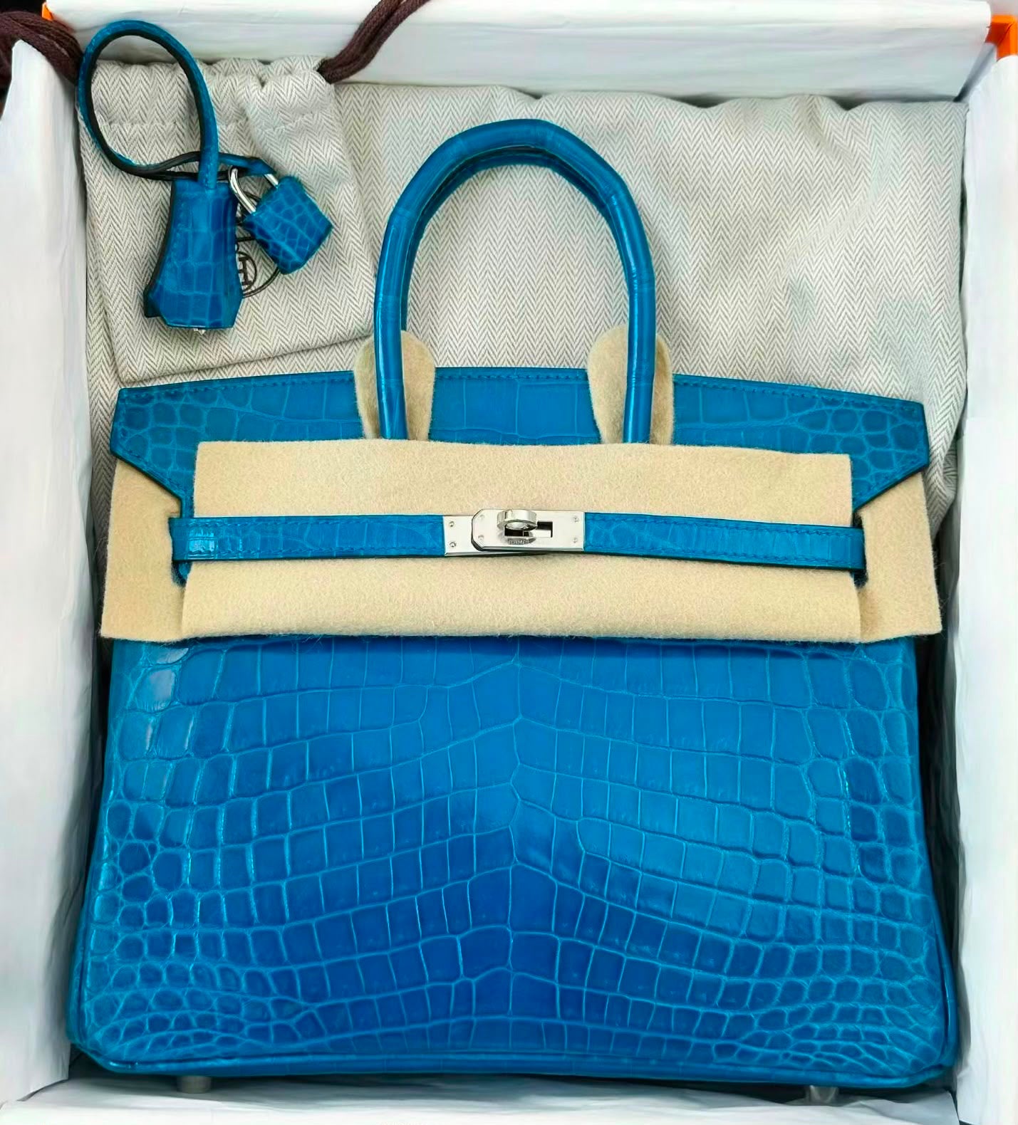 Hermes Birkin 25 Bleu Izmir Shiny Niloticus Palladium Hardware