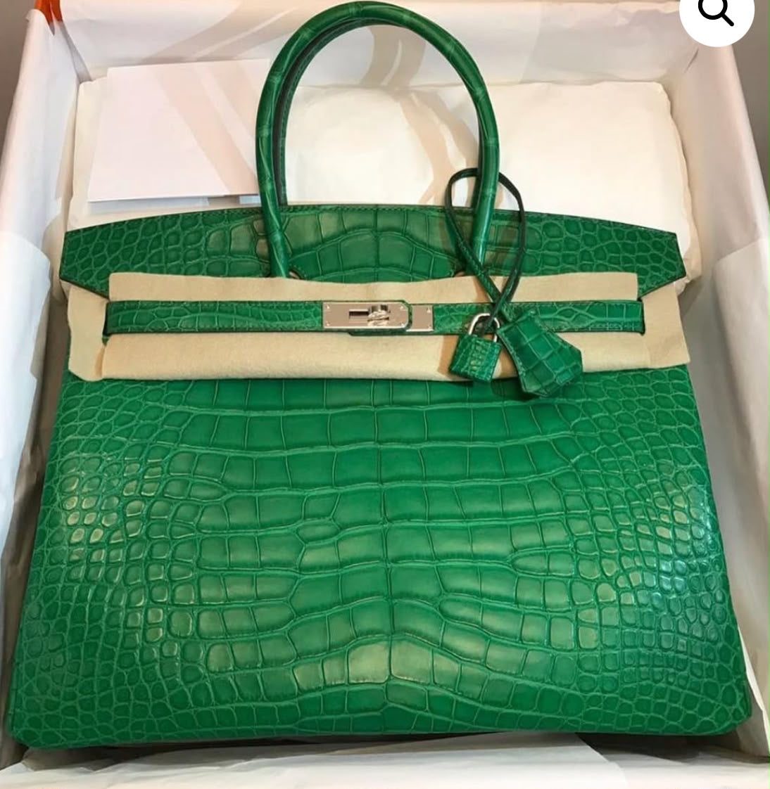 Hermes Birkin 25 Green Cactus Matte Alligator palladium hardware
