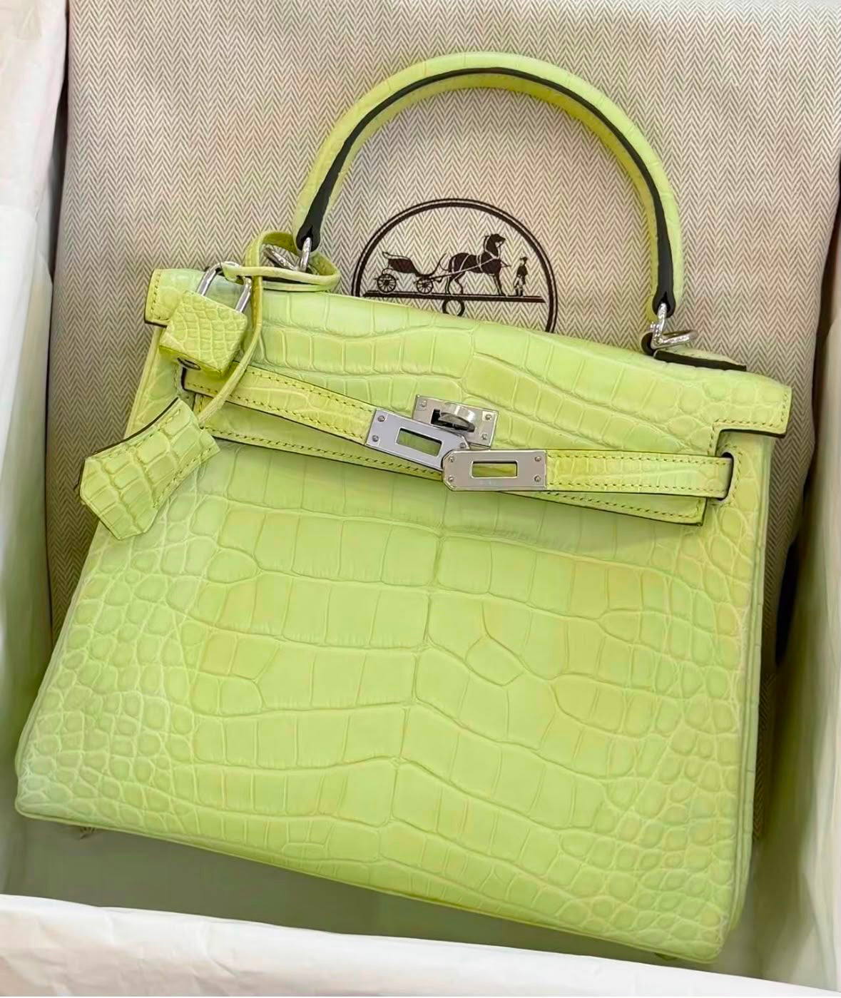 Hermes kelly 25 Jaune Bourgeon Matte Alligator Leather Palladium hardware