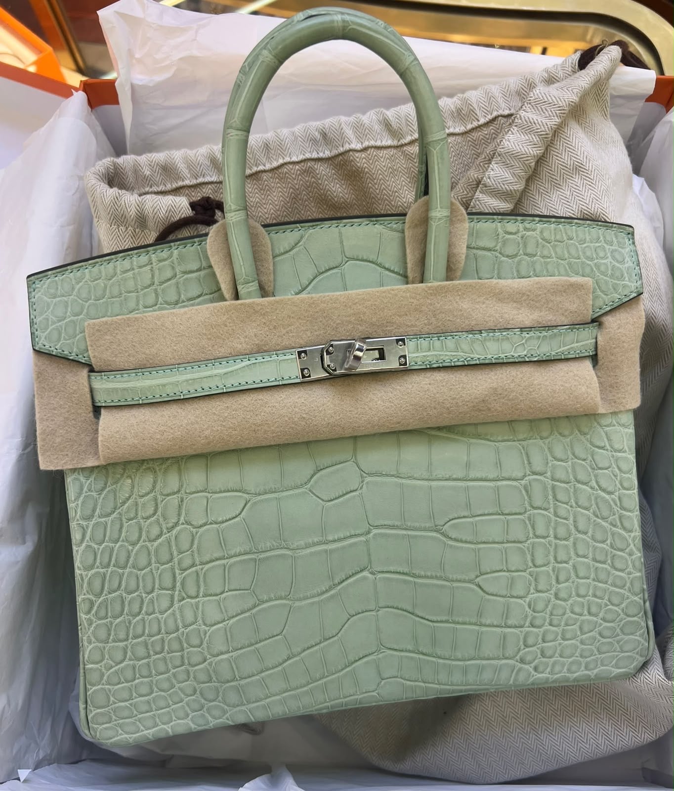 Hermes Birkin 25 Vert d’Eau Matte Alligator Palladium hardware