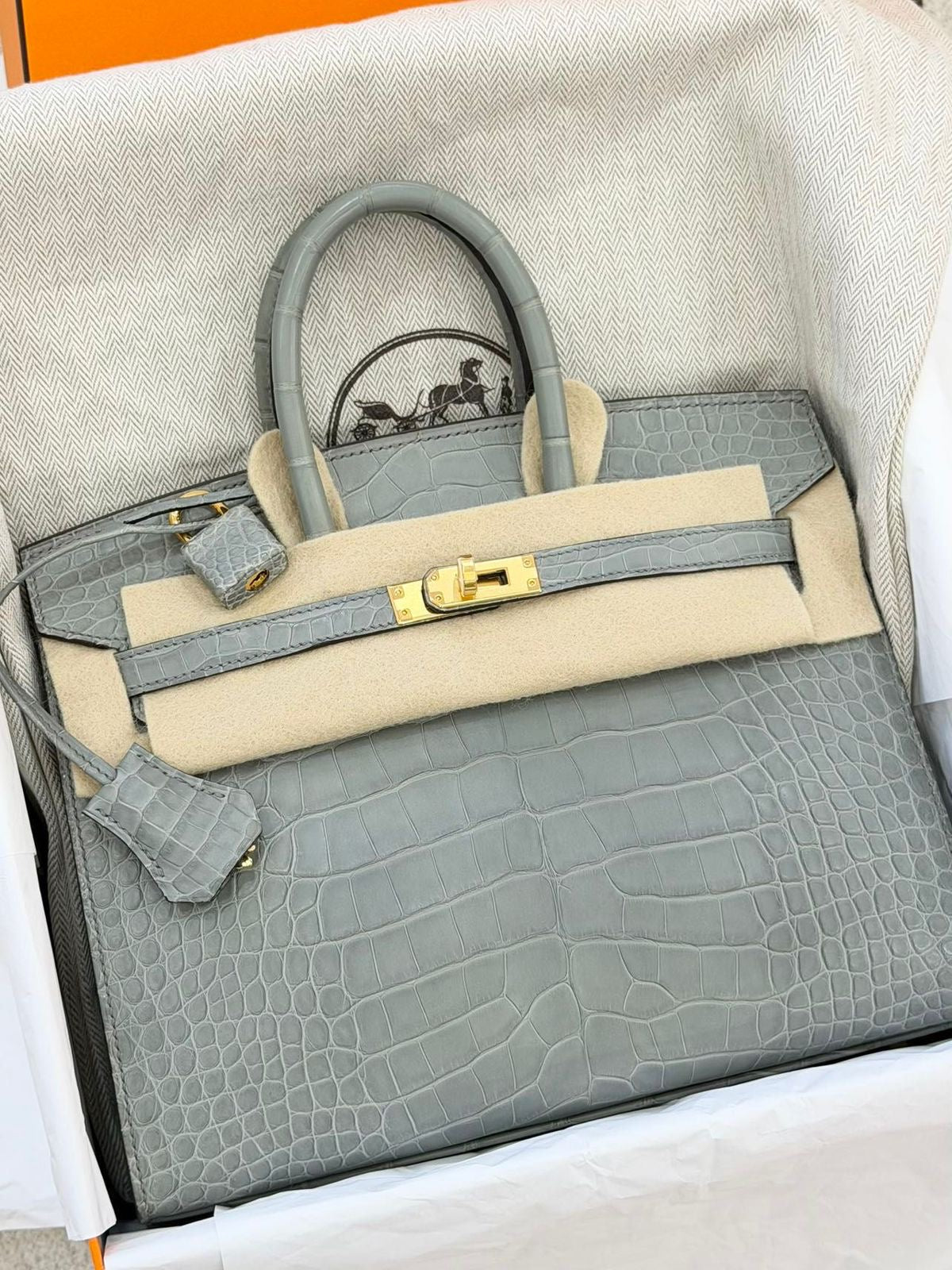 Hermes Birkin 25 Sellier Gris Ciment Matte Alligator Gold hardware
