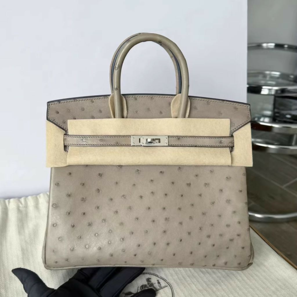 エルメス HERMES 布袋 Hermès Birkin 25 Turtledove Gray (81) Ostrich Leather Palladium