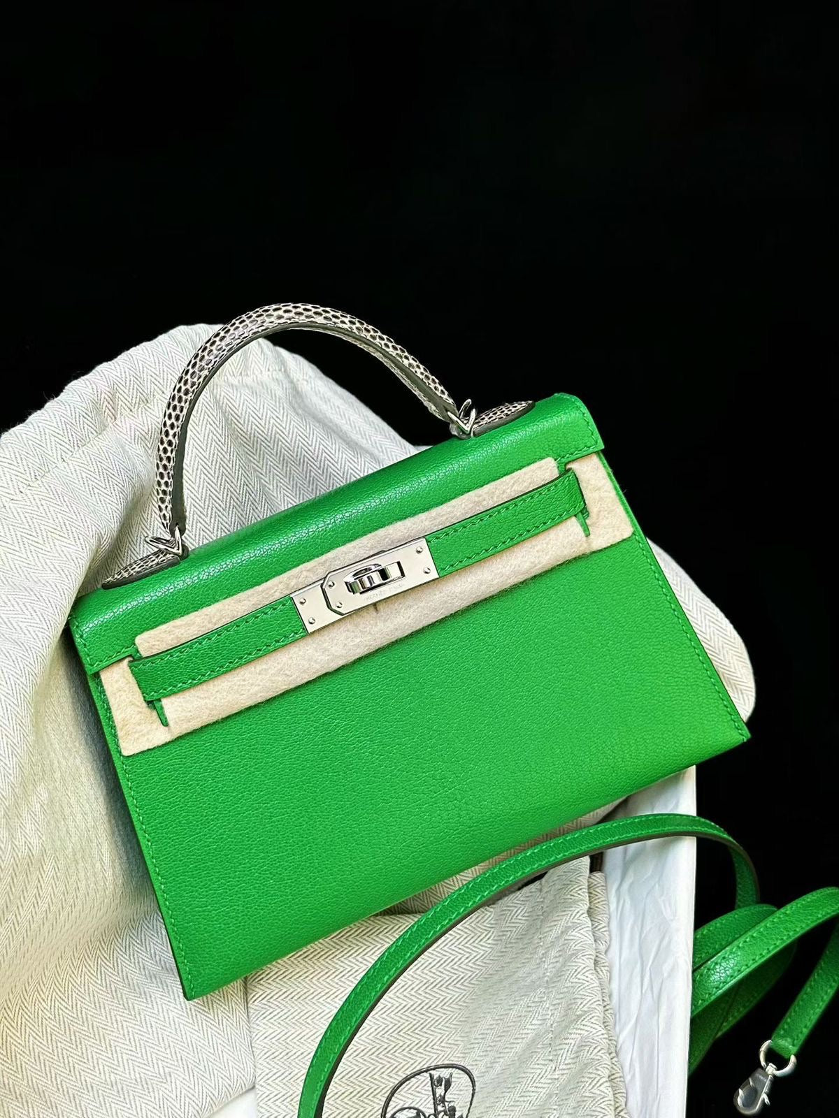 Hermès Mini Kelly 20 Bambou Chevre & Ombre Lizard Palladium hardware