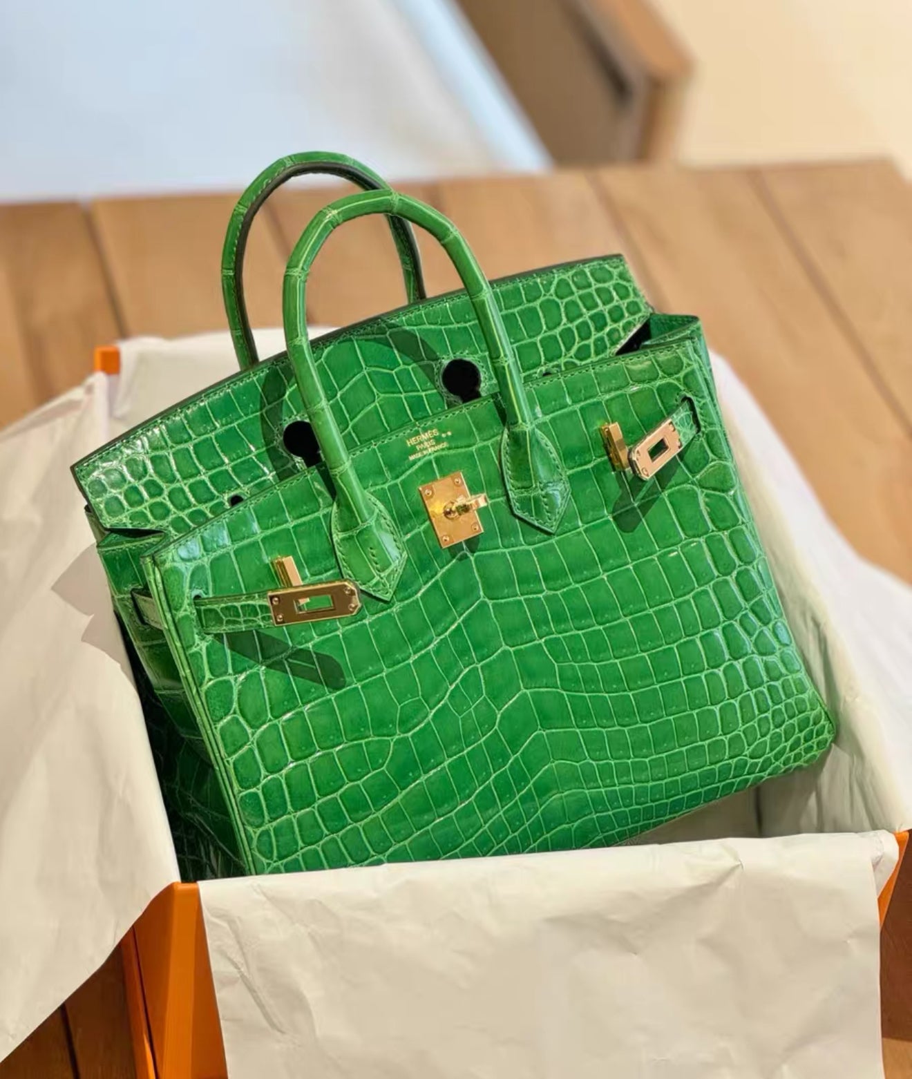 Hermès Birkin 25 Cactus Green Shiny Crocodile Leather Gold Hardware