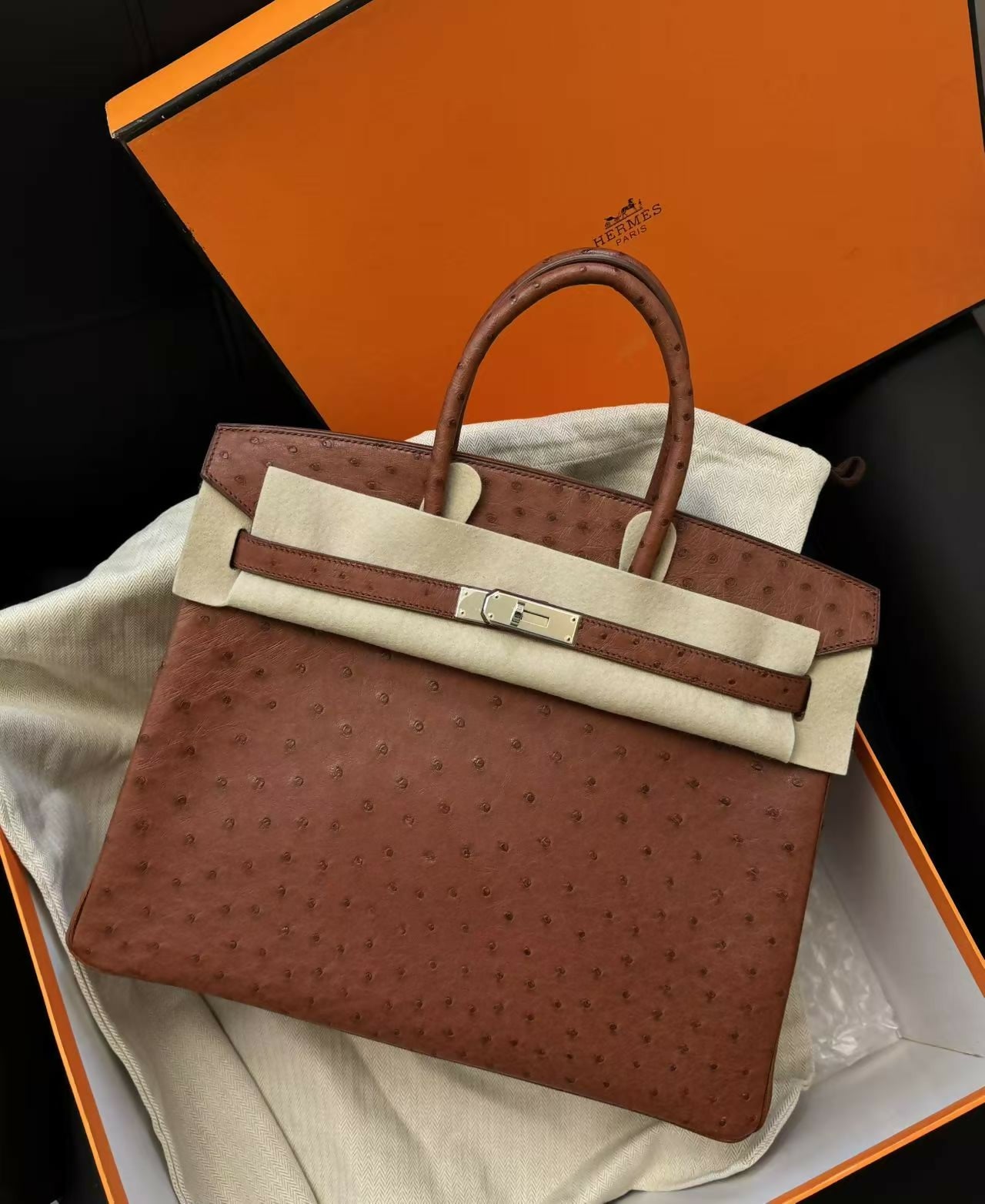 Hermès Birkin 35 Brique Ostrich Leather with Palladium Hardware