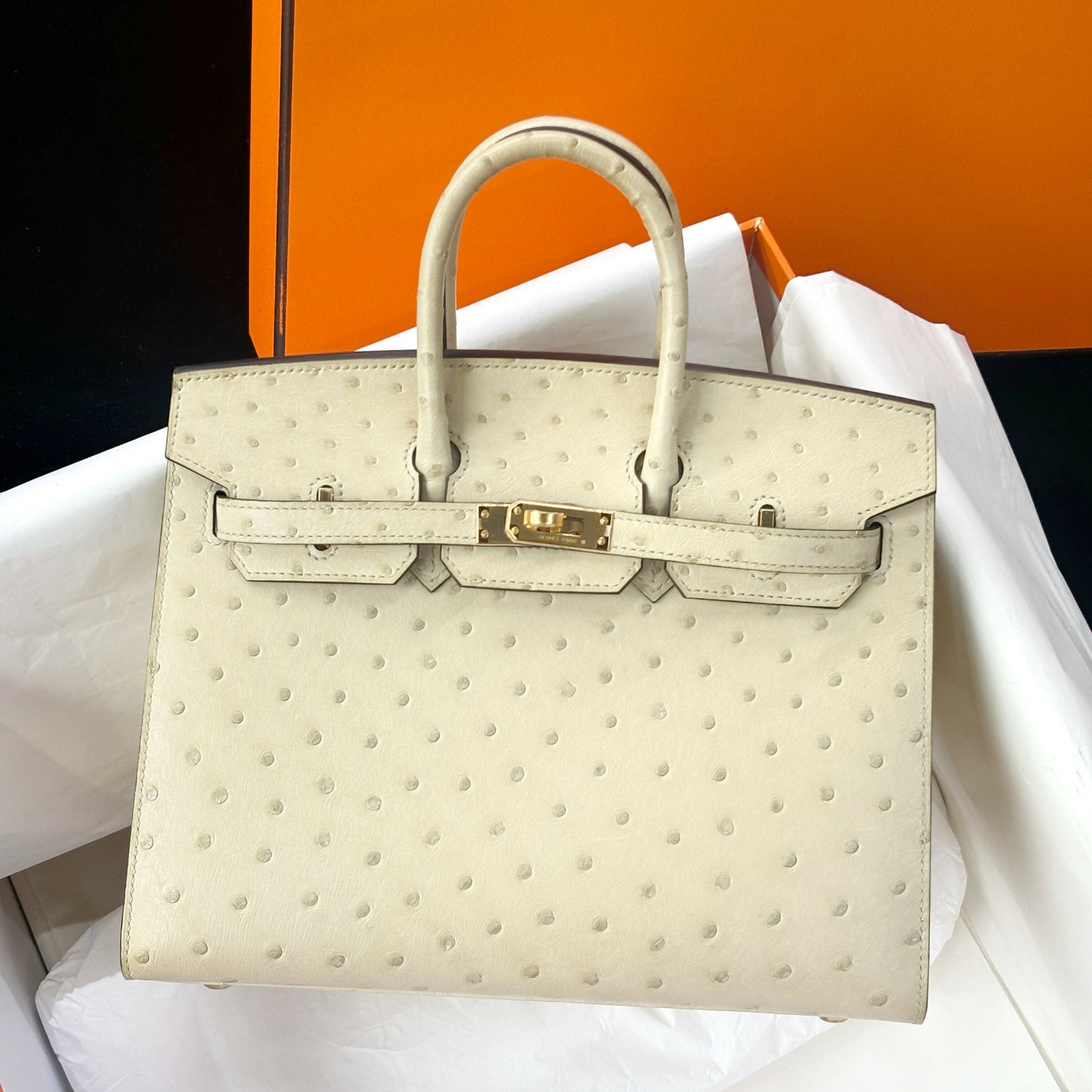 Hermès Birkin Sellier 25 Parchemin Ostrich with Gold Hardware