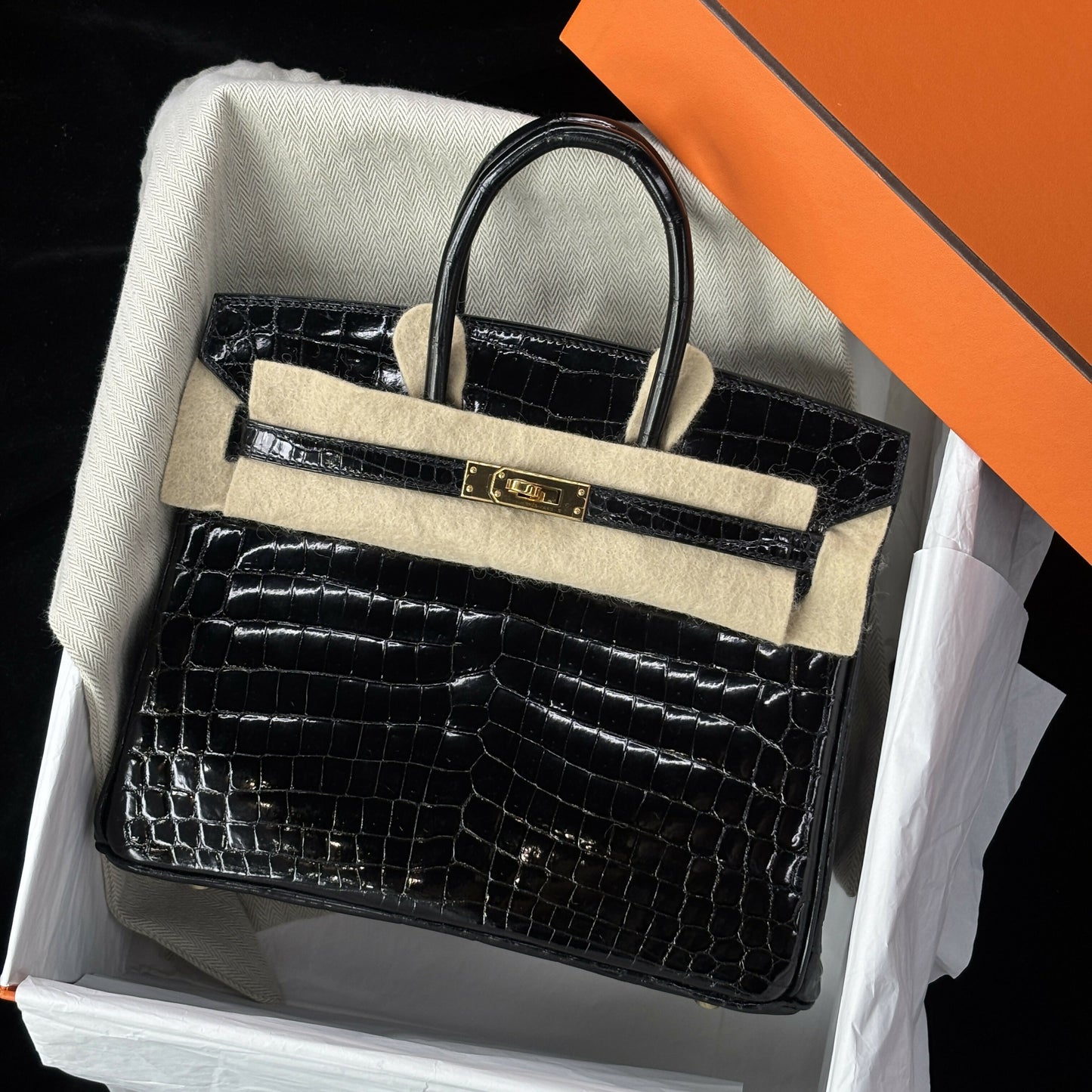 Hermès Birkin 25 Noir Porosus Crocodile Shiny with Gold Hardware