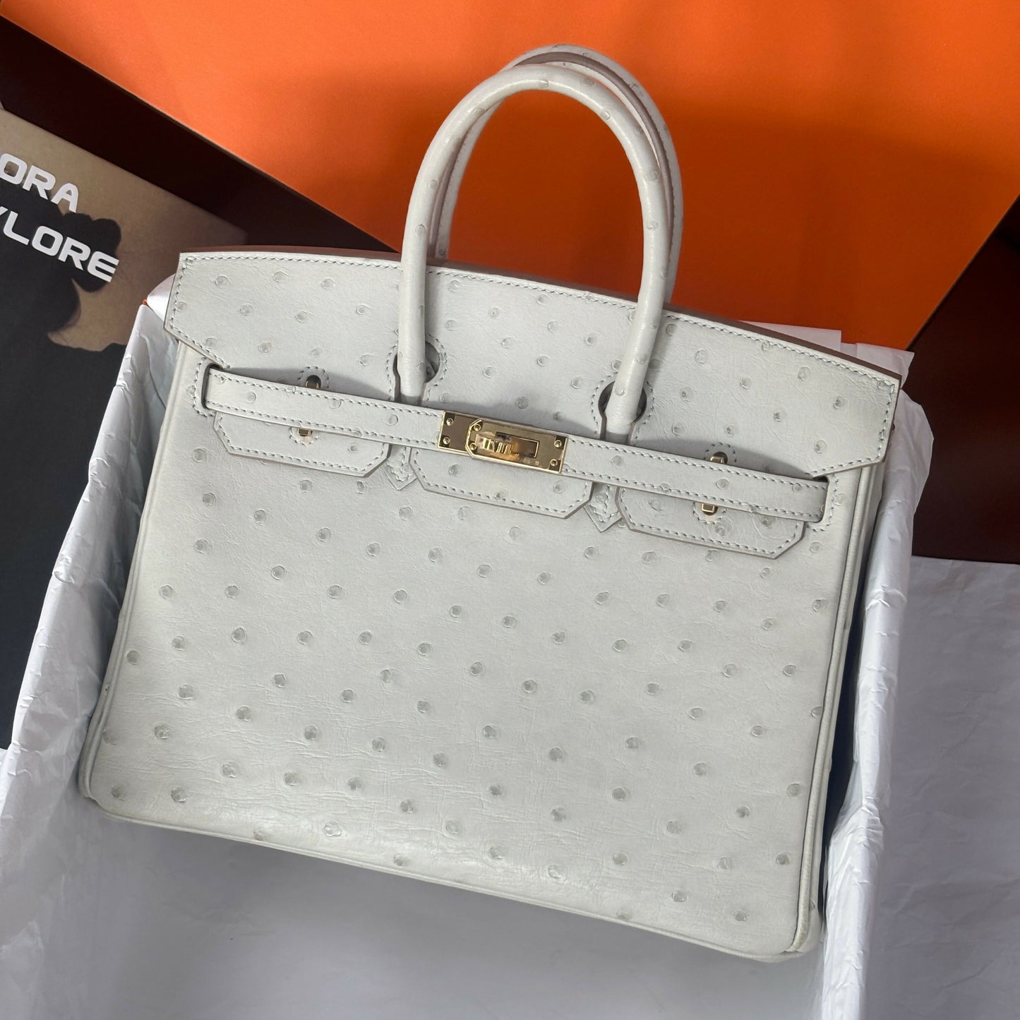 Hermès Birkin 25 Gris Perle Ostrich with Gold Hardware Z Stamp