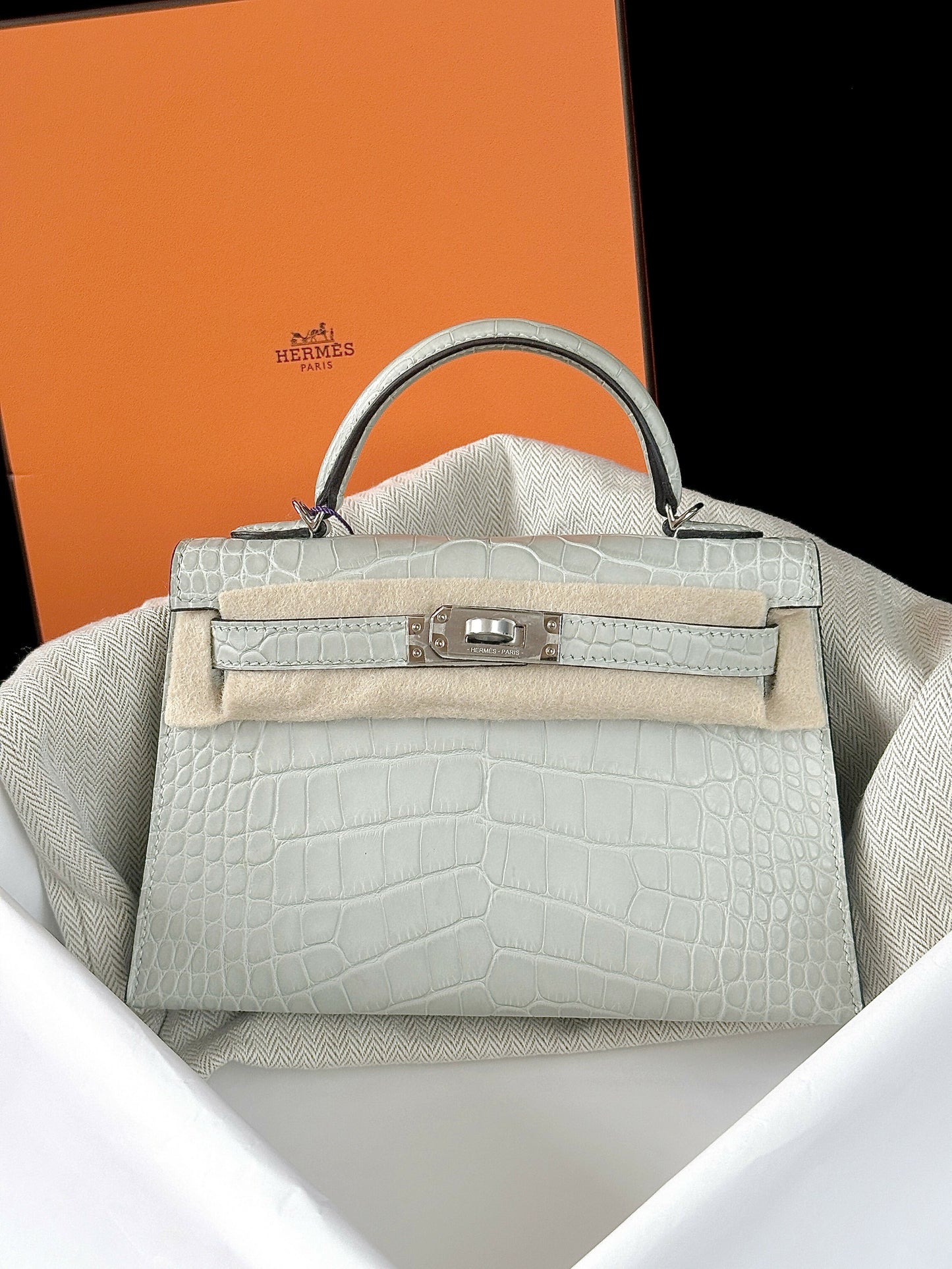Hermès Mini Kelly 20 Gris Pearl / Gris Neige Matte Alligator Mississippiensis with Palladium Hardware
