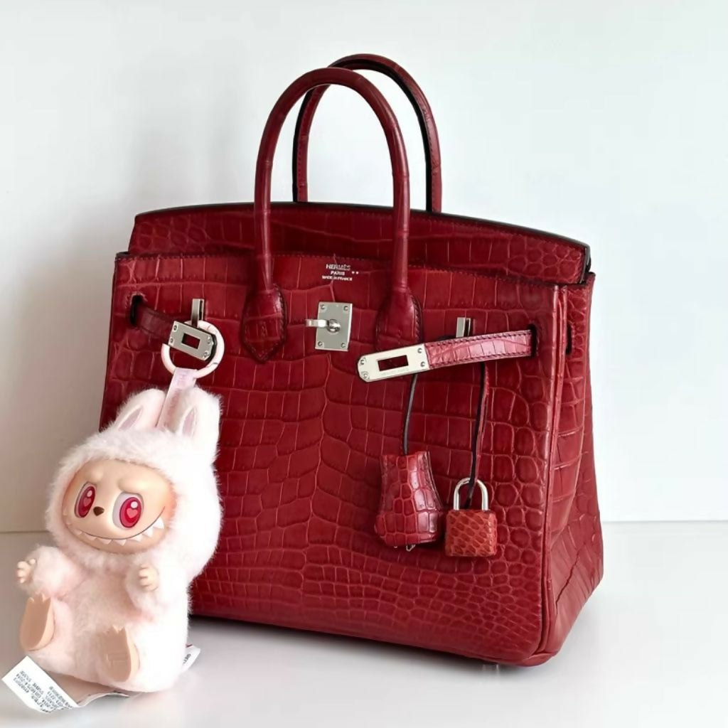 Hermes bag (2)