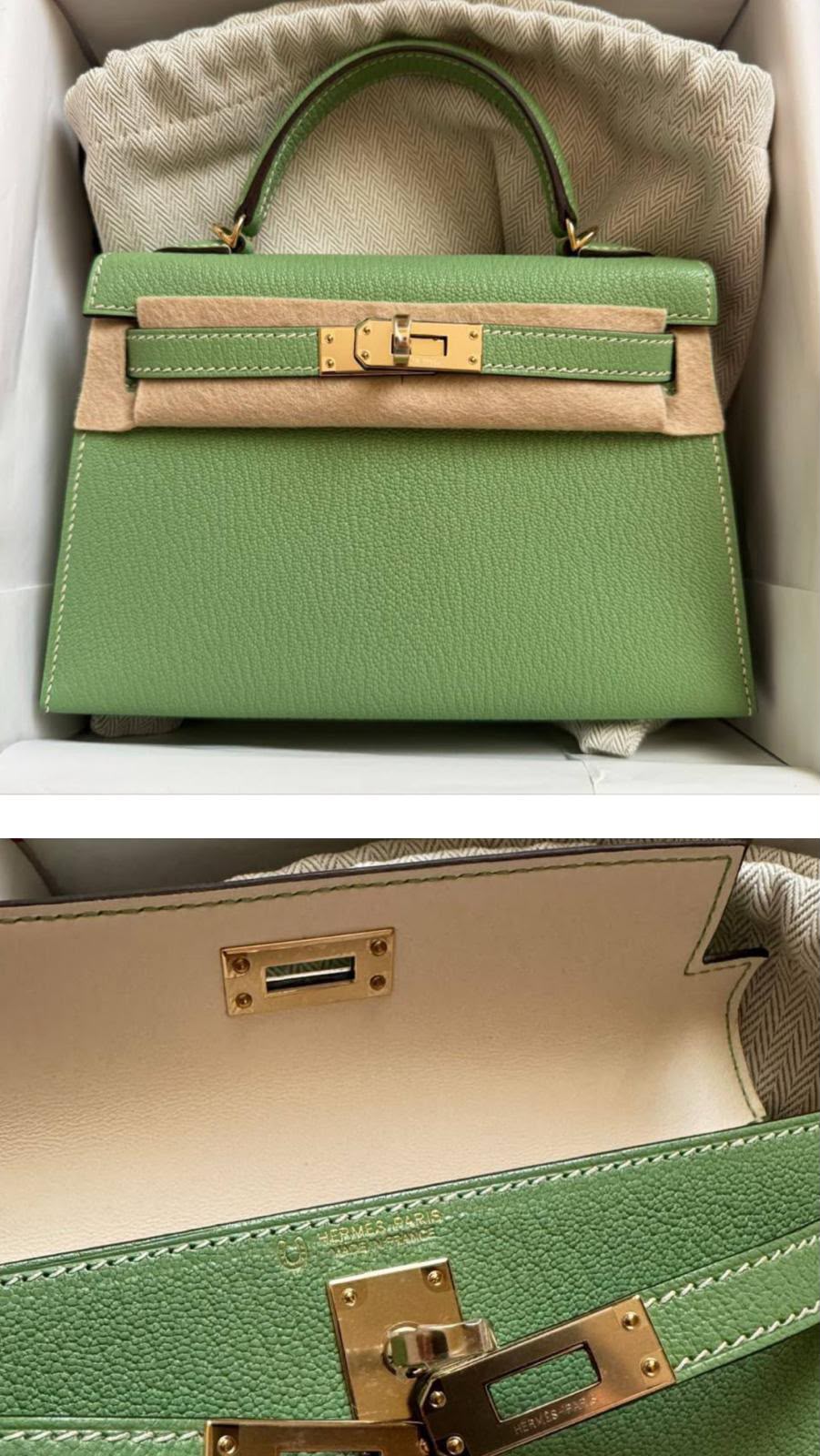 Hermes mini Kelly 20 HSS vert criquet interior nata Chevre gold hardware