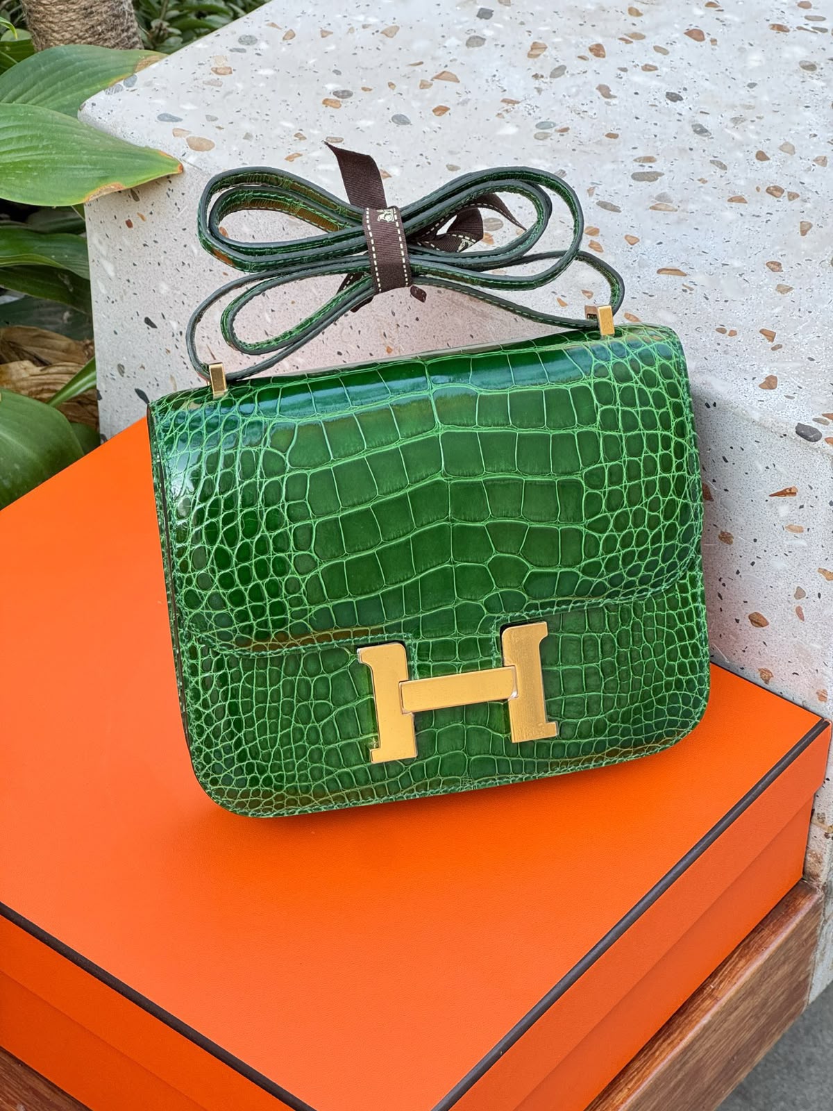 Hermes Constance 18 Cactus Shiny Alligator Gold hardware