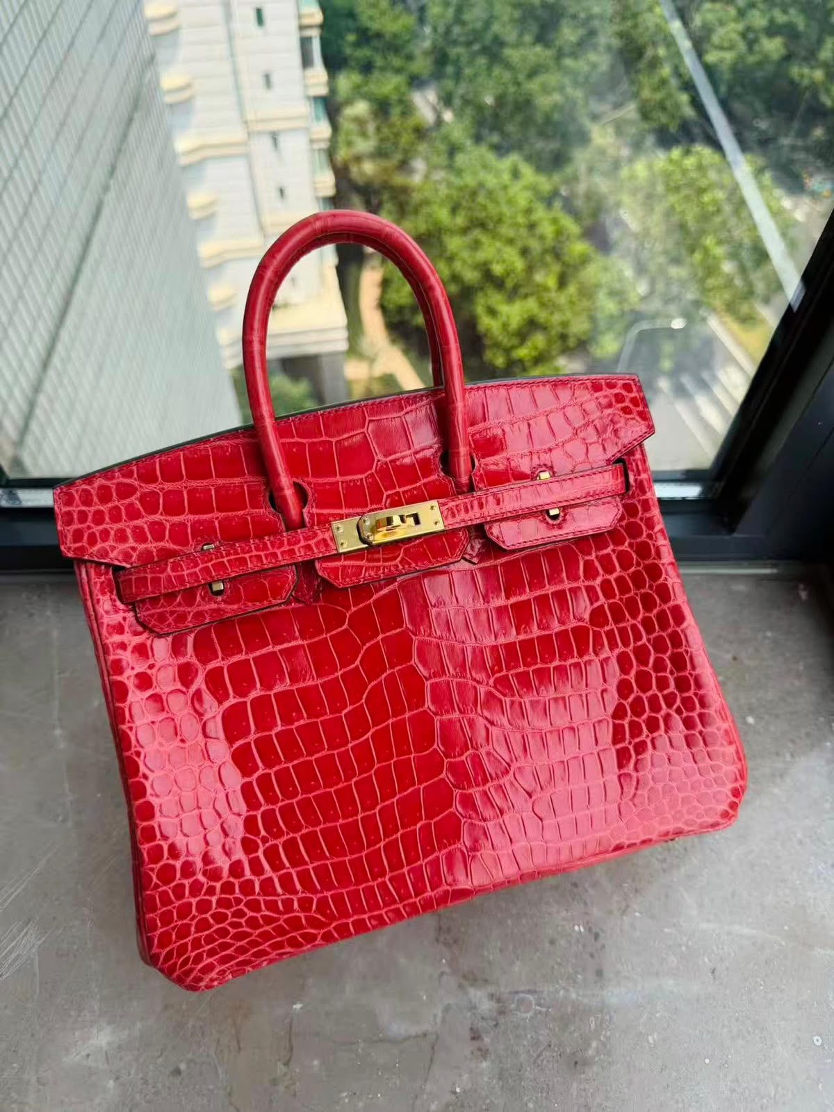 Hermes Birkin 25 Bougainvillier Shiny Porosus Gold hardware
