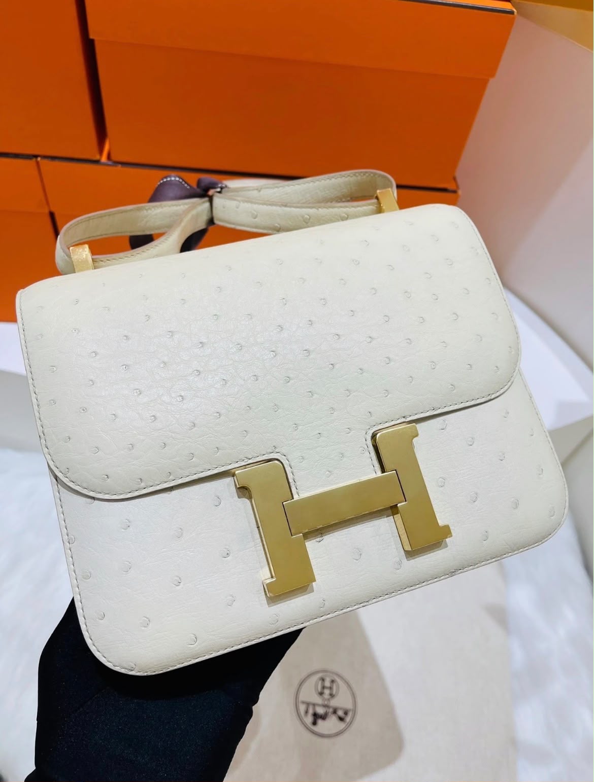 Hermes Constance 18 Nata Ostrich Gold hardware