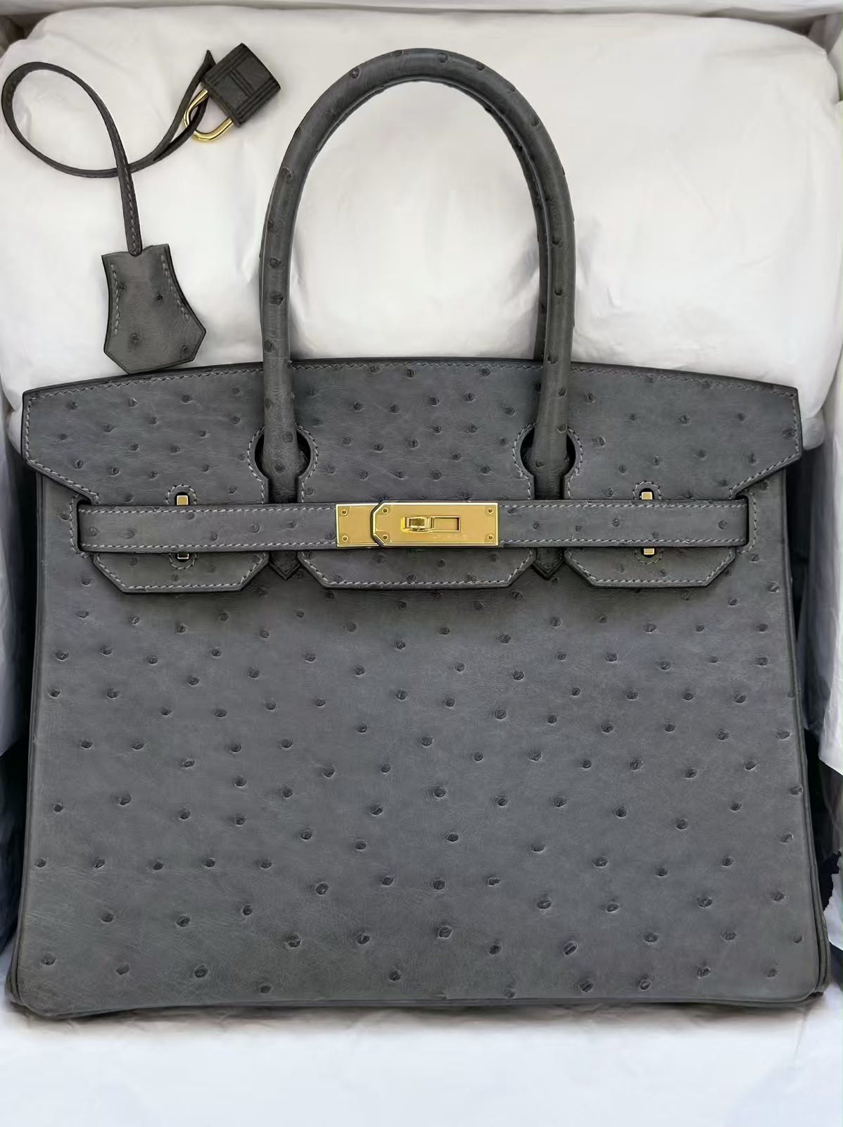 Hermes Birkin 30 Gris Meyer Ostrich Gold hardware