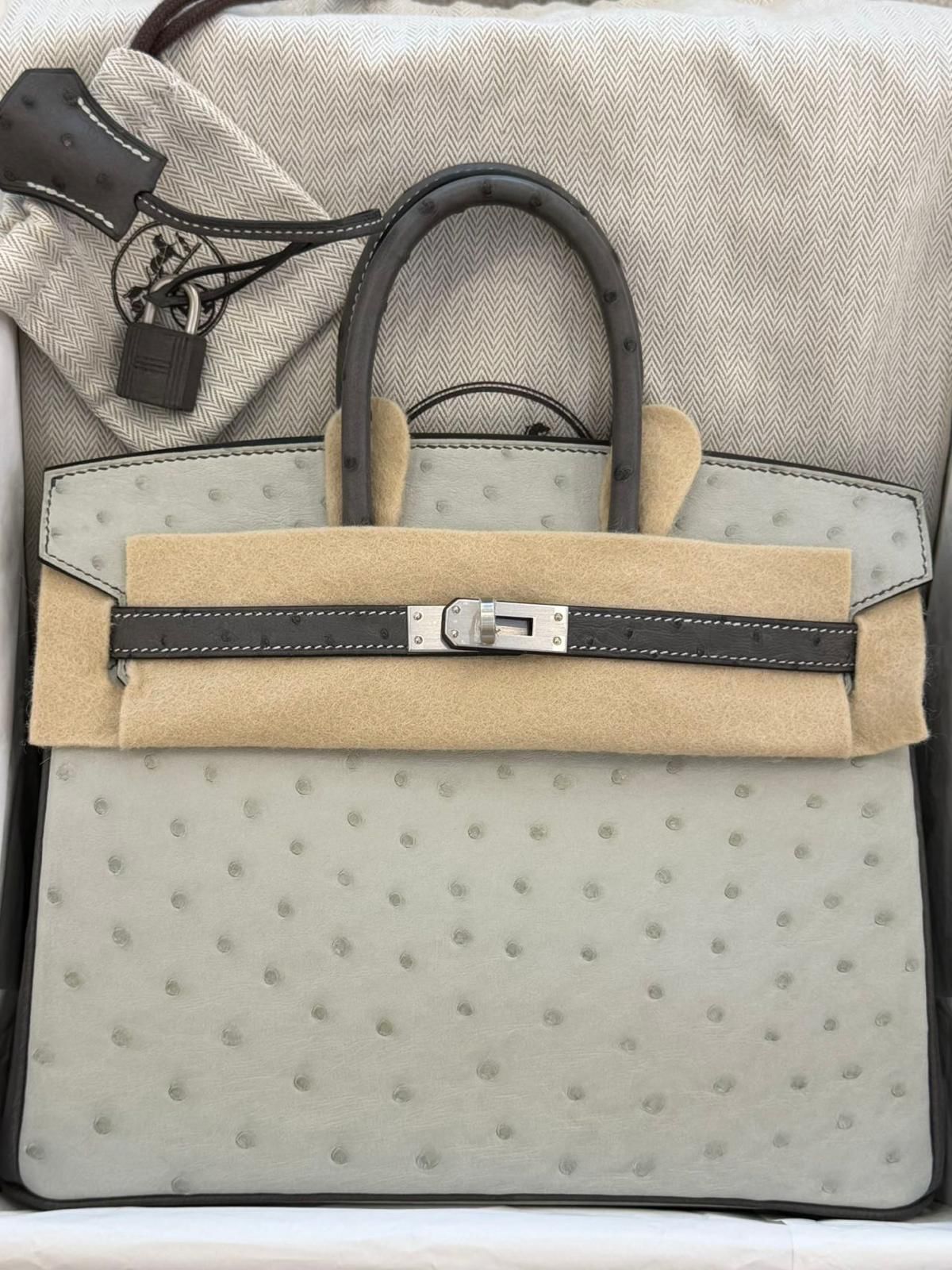 Hermes Birkin 25 HSS Gris Perle / Gris Orage Ostrich Brushed palladium hardware