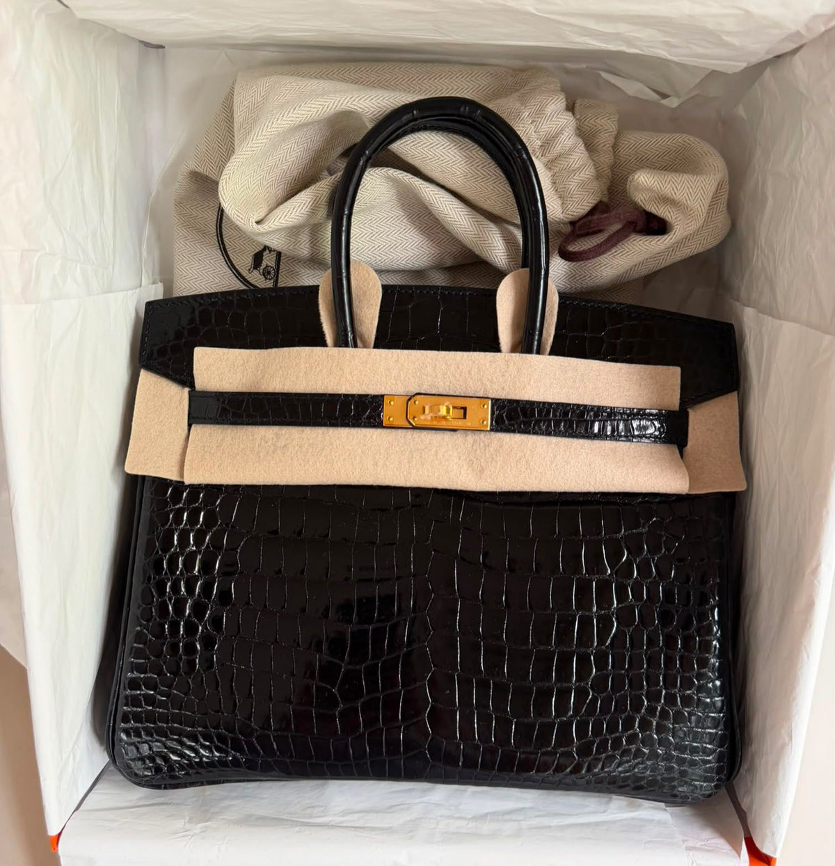 Hermes Birkin 25 Black Shiny Porosus gold hardware