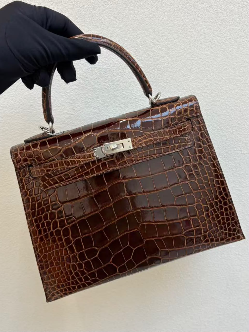 Hermes Kelly 25 Terre shiny alligator Palladium hardware (rare)