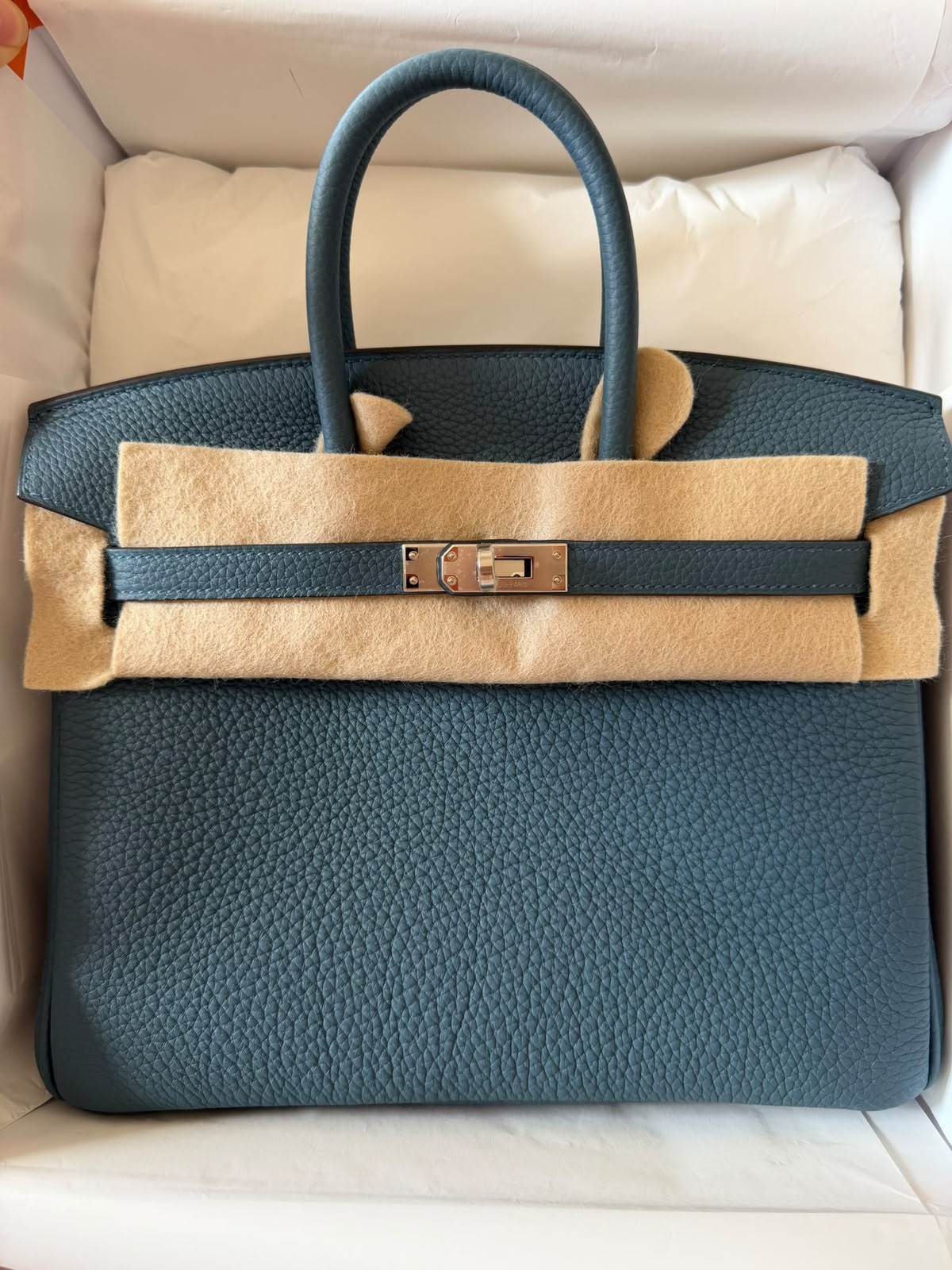 Hermes Birkin 25 Tempete Togo Palladium hardware