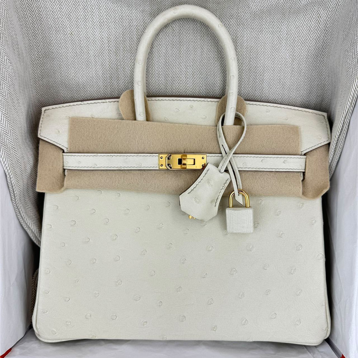 Hermes Birkin 25 Beton Ostrich Gold hardware