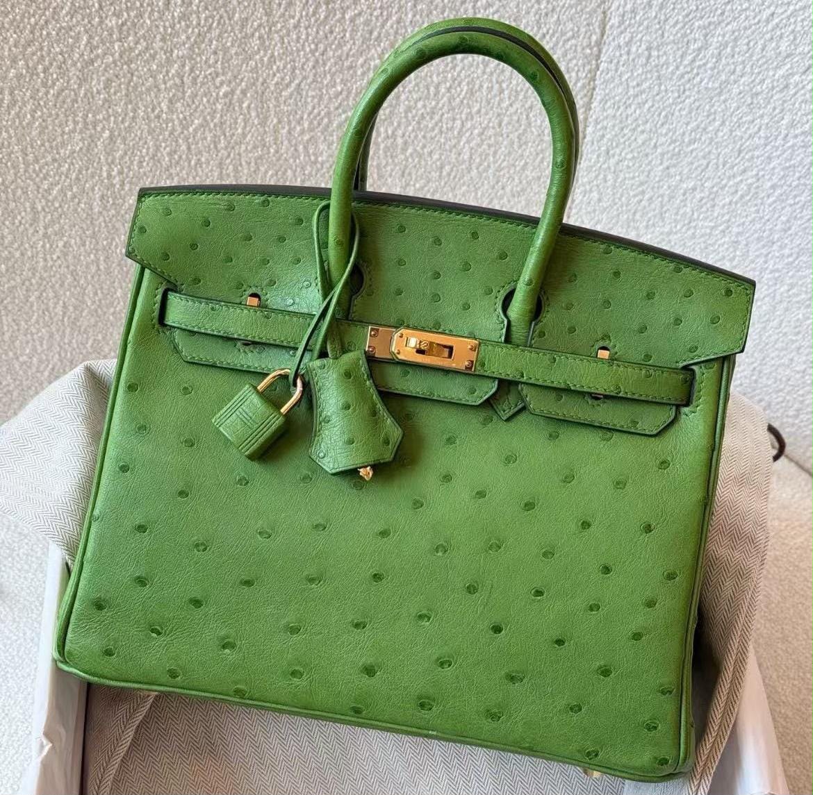 Hermes Birkin 25 Vert Yucca Ostrich gold hardware