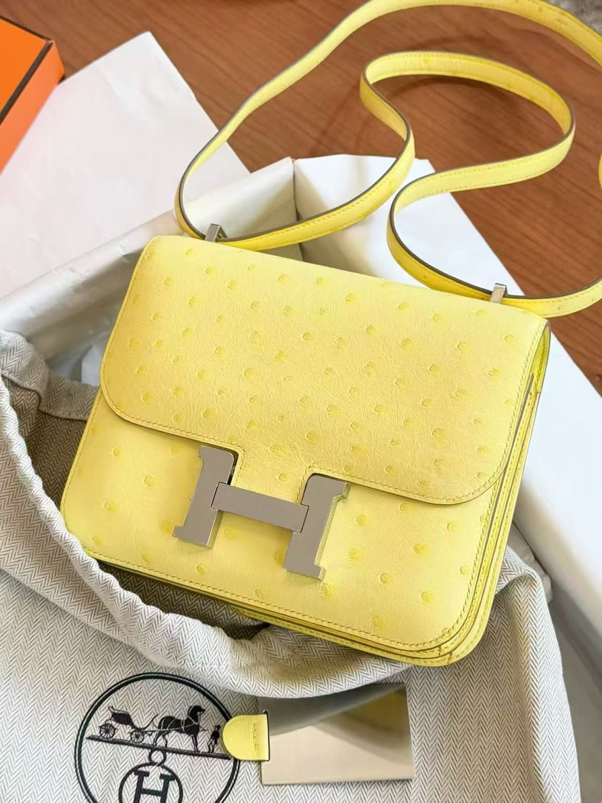Hermes Constance 18 Limoncello Ostrich Palladium hardware