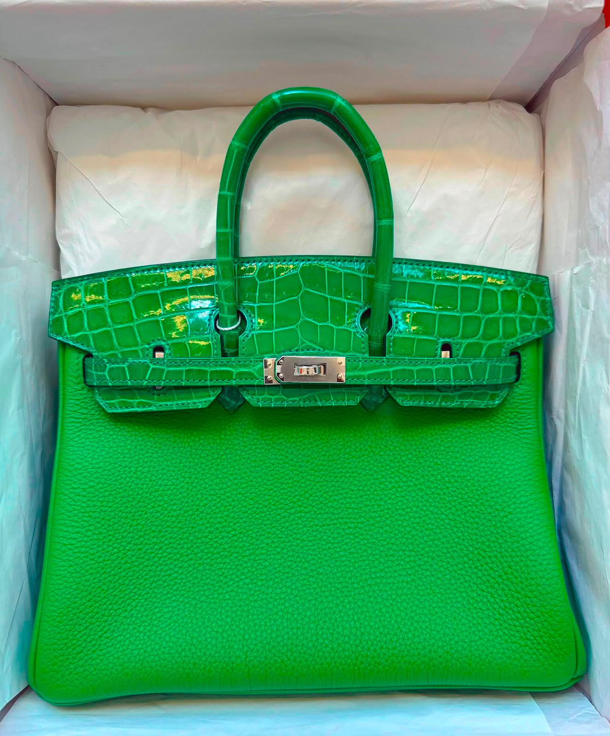 Hermes Birkin 25 Touch Vert Bambou Shiny Niloticus / Togo Palladium hardware