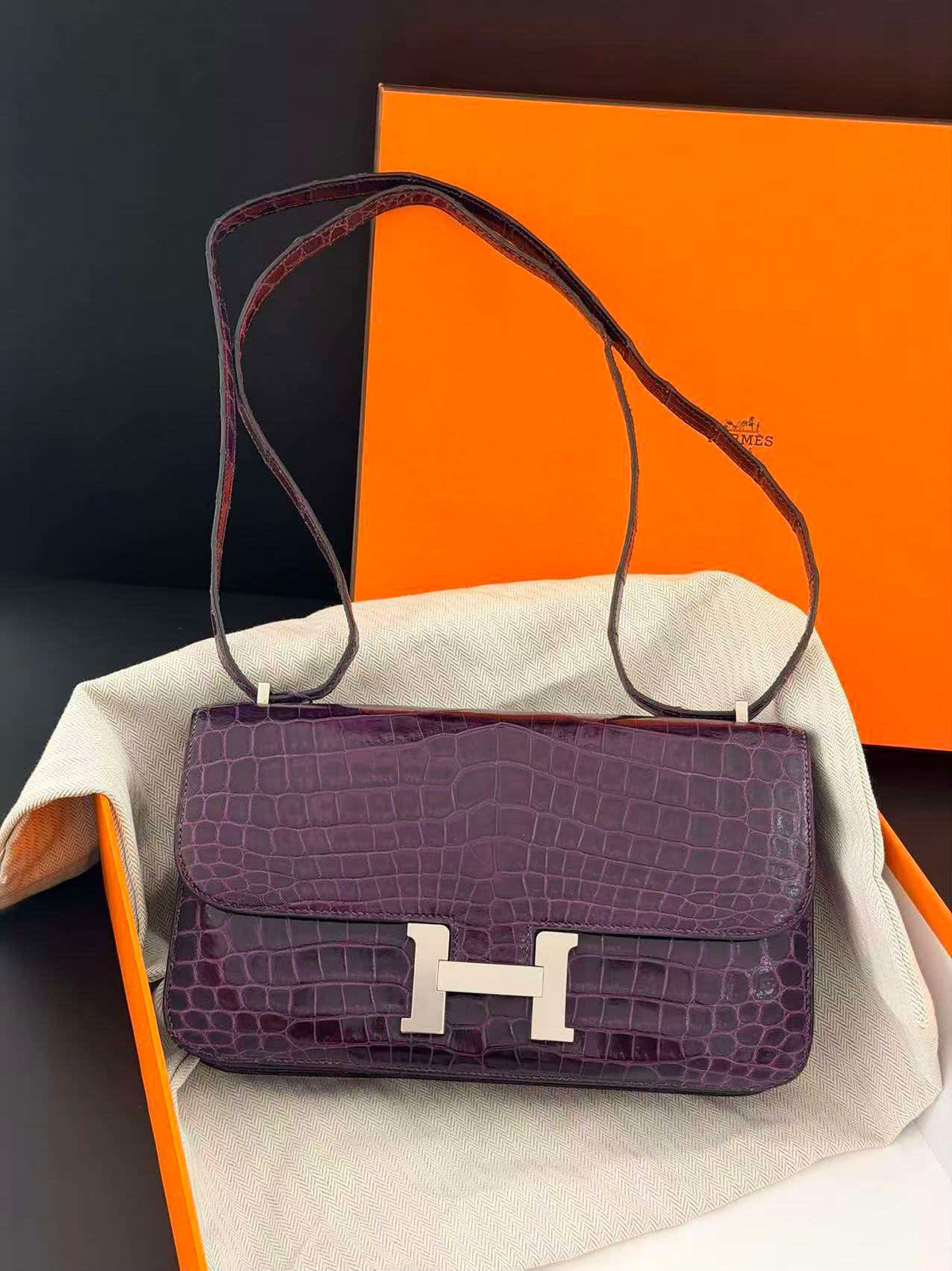 Hermes Constance elan aubergine shiny niloticus palladium hardware