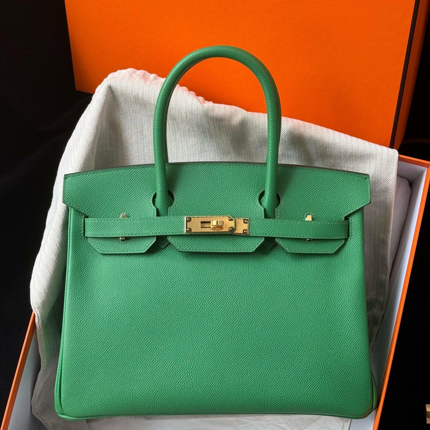 Hermès Birkin 30 Bambou Epsom with Gold Hardware D Stamp