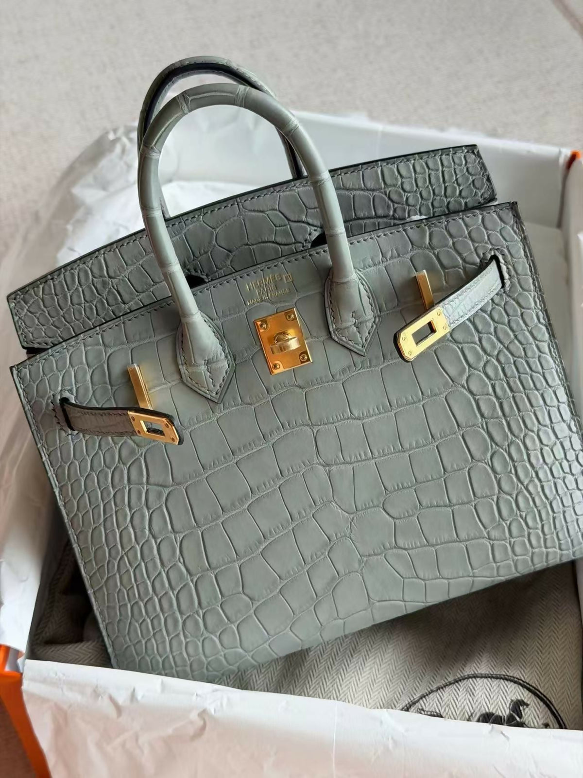Hermès Birkin 20 Faubourg / Mini Birkin 20 Crystal Grey (0V) Matte Crocodile with Gold Hardware