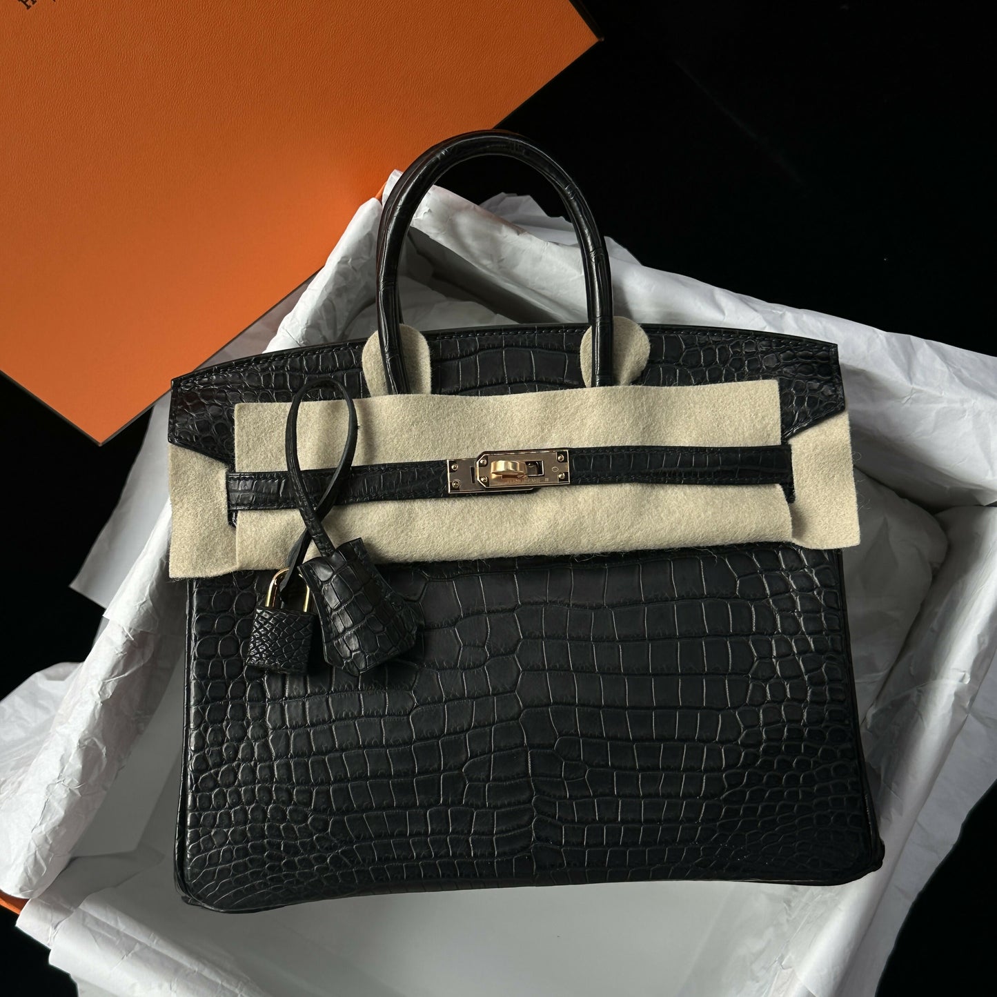 Hermès Birkin 25 Noir Matte Porosus Crocodile (^) with Rose Gold Hardware