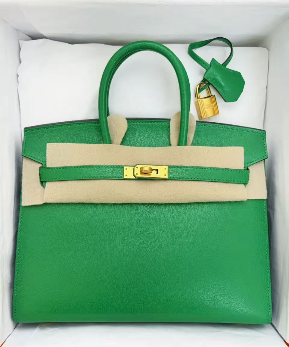 Rare Hermes Birkin 25 sellier bamboo Chevre chamkila leather gold hardware