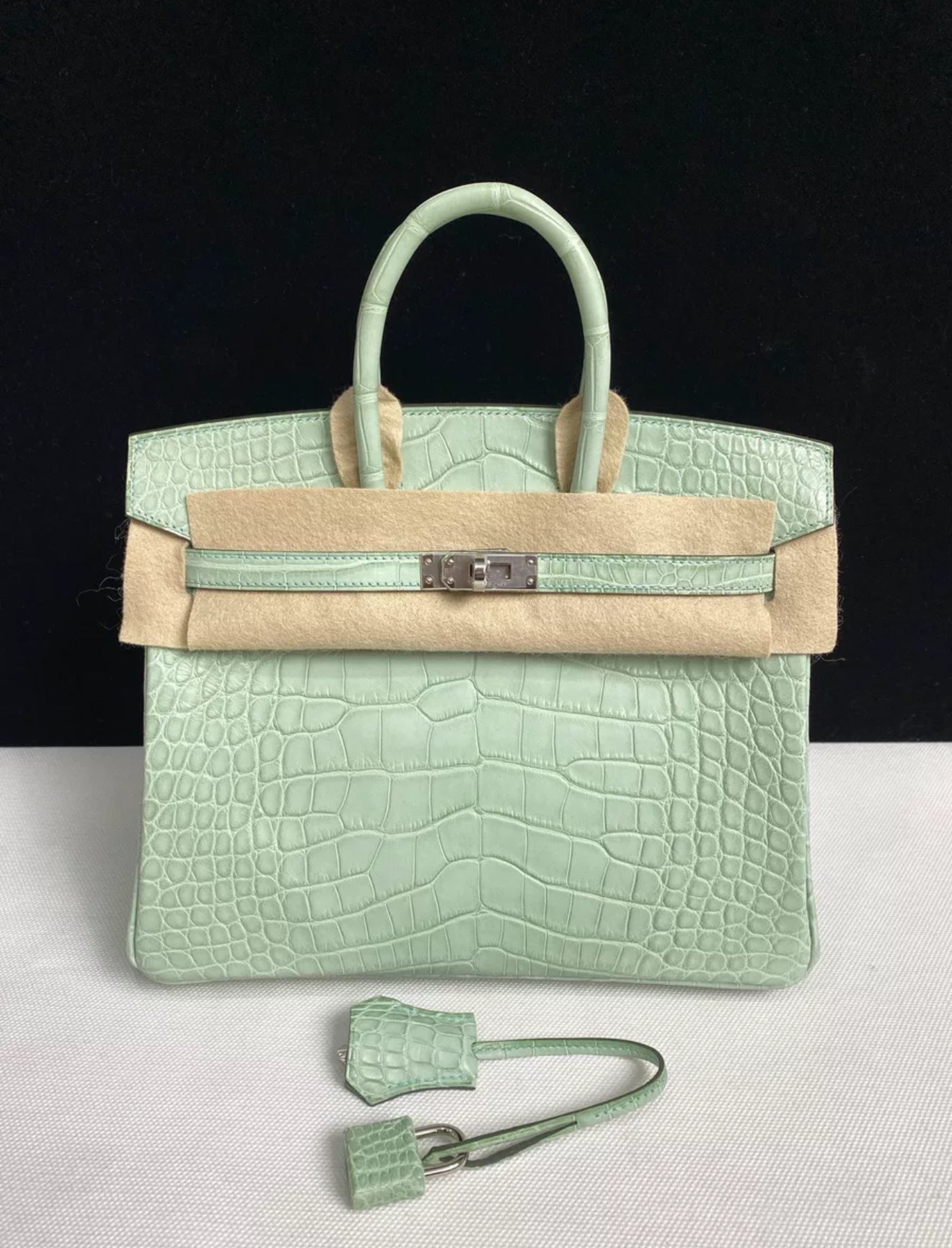 Hermès Birkin 25 Vert d'Eau Matt Alligator Palladium Hardware