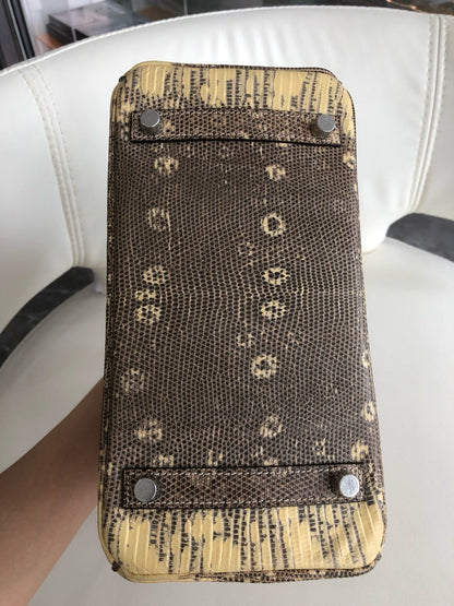 Hermès Birkin 25 Ombre Varanus Salvator Lizard Palladium Hardware