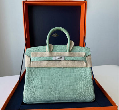 Hermes Birkin 25 Vert D’eau Matt Crocodile Diamond Gold Hardware