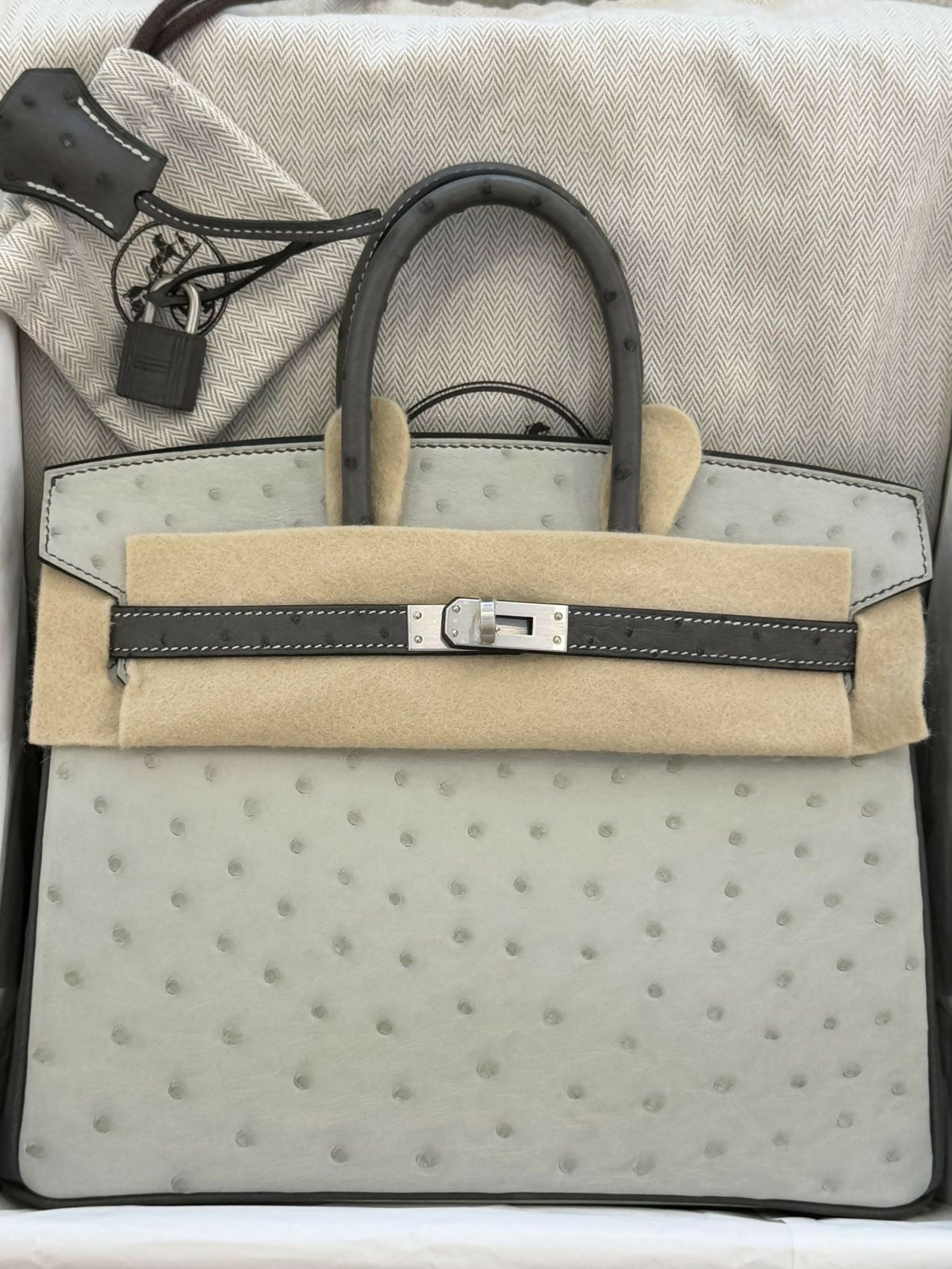 Hermès Birkin 25 Gris Perle / Pearl Grey & Gris Nuage Ostrich Leather with Hardware K Stamp