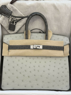 Hermès Birkin 25 Gris Perle / Pearl Grey & Gris Nuage Ostrich Leather with Hardware K Stamp