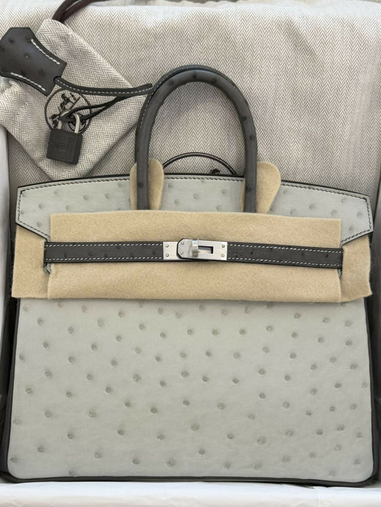 Hermès Birkin 25 Gris Perle / Pearl Grey & Gris Nuage Ostrich Leather with Hardware K Stamp