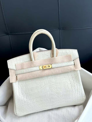 Hermès Birkin 25 Glacier White Matte Crocodile with Gold Hardware B Stamp