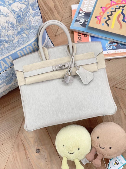 Pre-owned Hermès Birkin 25 Pearl Grey Togo leather palladium hardware