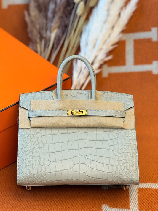 Hermes Birkin 25 sellier Gris Neve Matte Alligator Gold hardware W