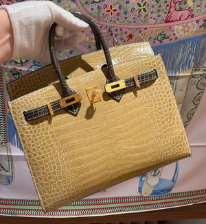 Hermes Birkin 25 HSS Poussiere x graphite shiny porosus brushed gold hardware stamp Z