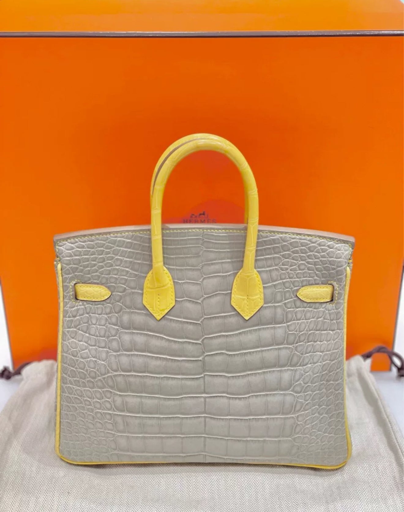 Hermès Birkin 25 Gris Perle Mimosa Matte Alligator - Wararni